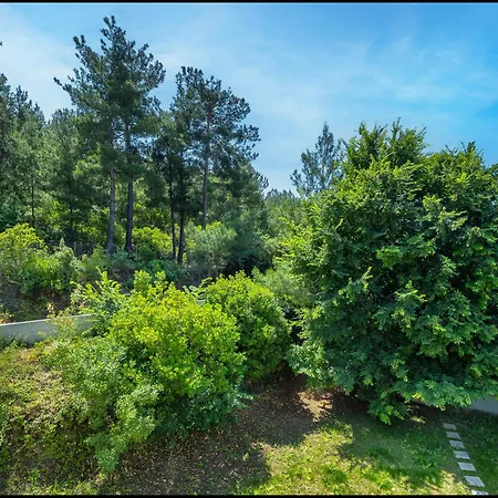 Lunar Aparthotel Skala Rachoni (Thasos)