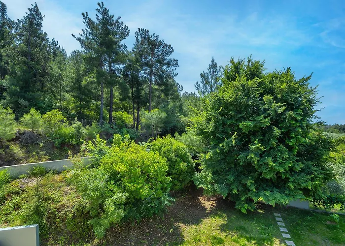 Lunar Hotel de apartamente Skala Rachoni (Thasos)